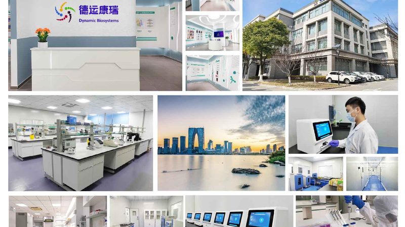 CHO细胞培养基：研发过程中的关键因素**