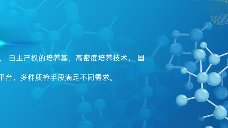 引物HPLC纯化：揭秘高效纯化背后的关键因素
