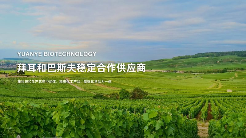 生物制品厂家：如何找到合适的合作伙伴？**