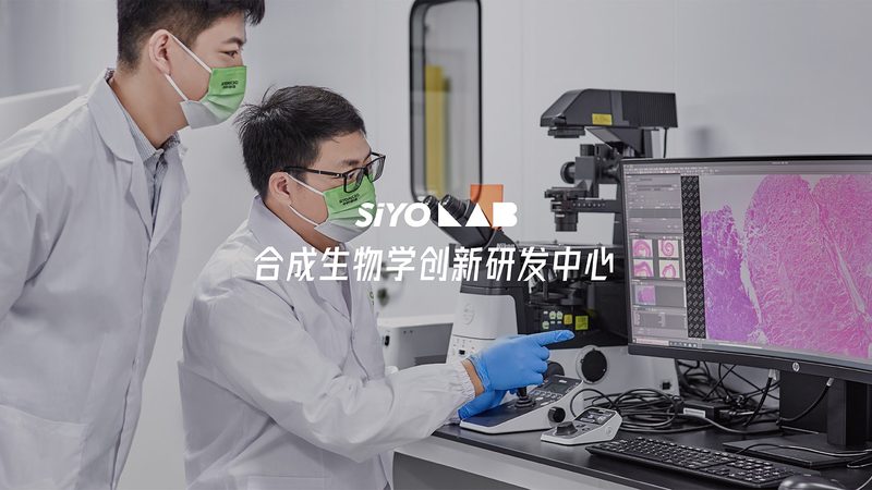 仿制药一致性评价：从申报到过评的全流程拆解