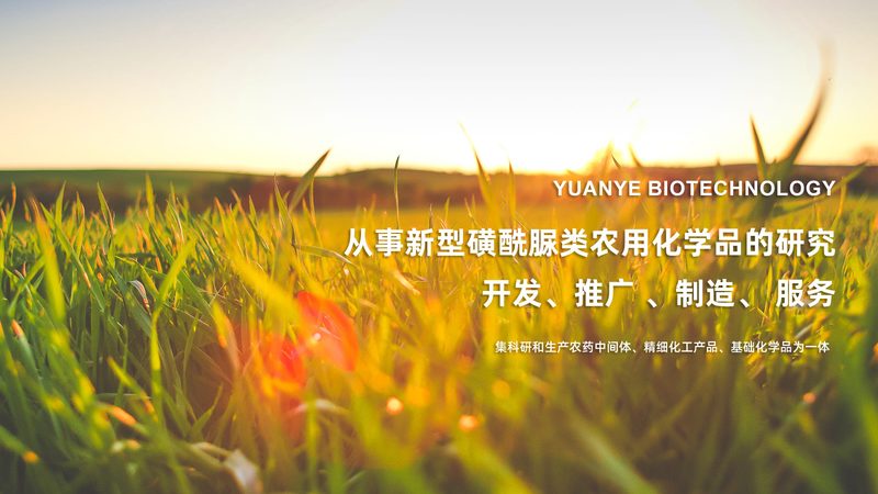 细胞工厂设备参数：揭秘高效细胞培养的关键