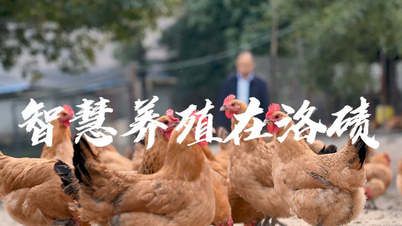 生物医药冷链物流外包：守护生命科学的“冷链”守护者