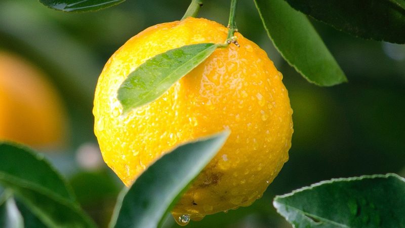 过期培养基回收再利用，生物实验室的绿色之路**