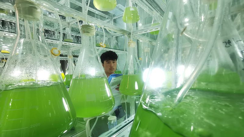手动移液器价格多少钱